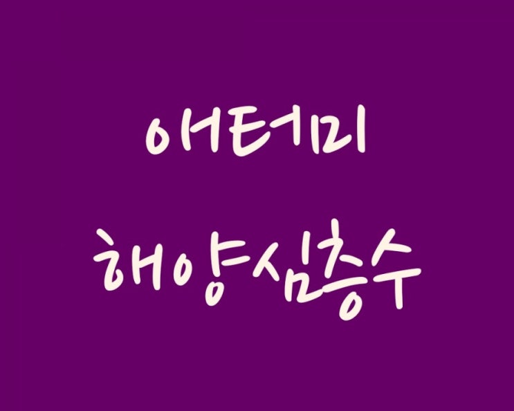  생수를 고르는 기준이 있으신가요? 몸에 좋은 애터미 해양심층수를 알아봅니다