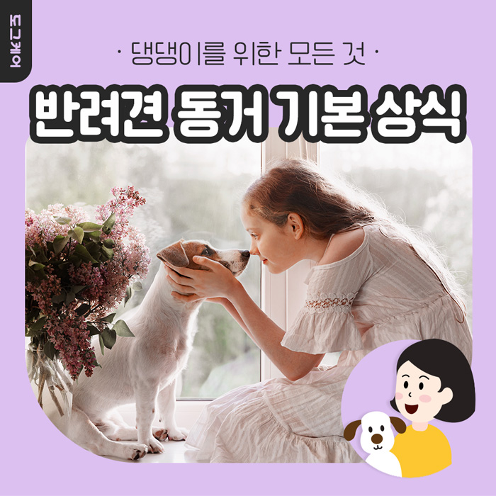  반련견, 강아지 키우기 기본상식