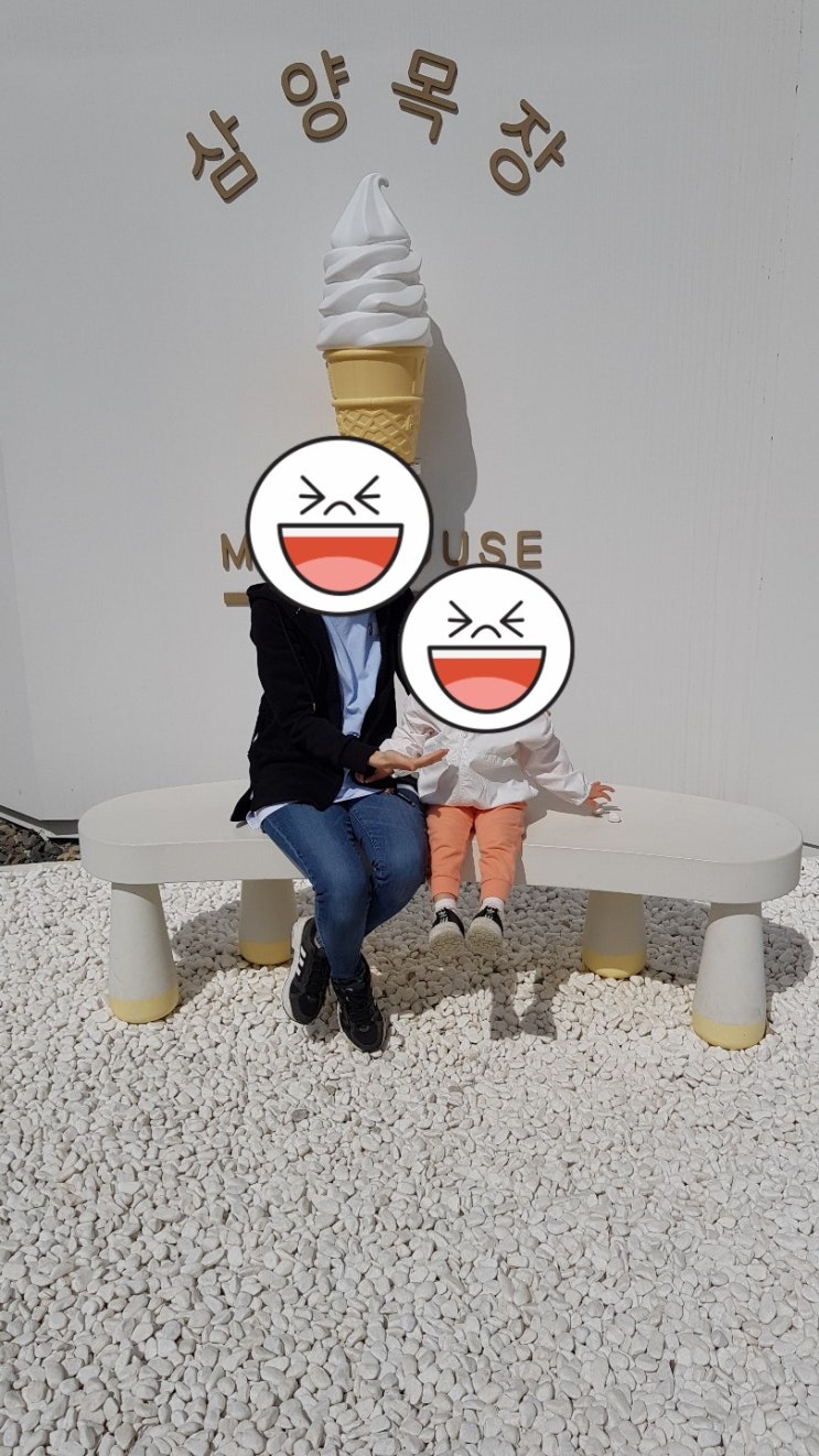  체험/평창/삼양목장(주차 tip)