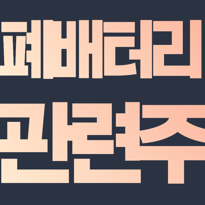  폐배터리 관련주 - 올해를 기점으로 폭발 성장할 차세대 '신 광맥 산업'