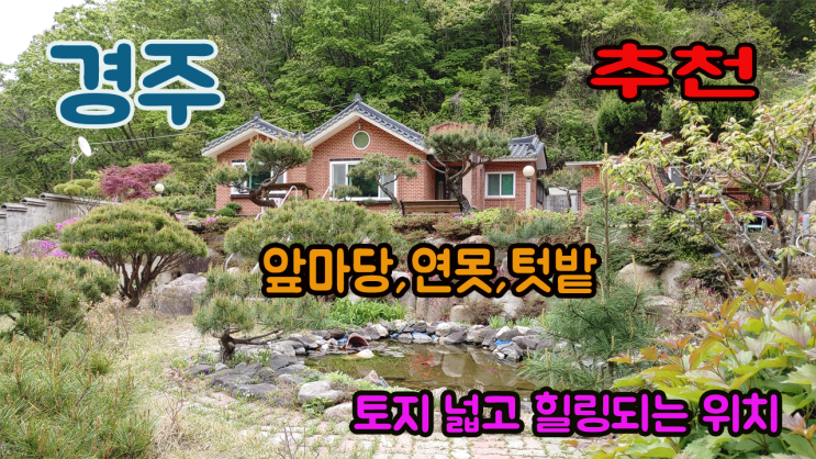 경주시 양남면 석촌리 전원주택 매매