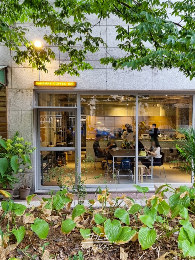  강동구 길동 신상카페 <바하마스커피바>