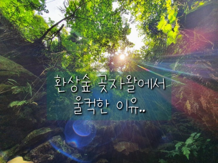  제주한달살기_환상숲곶자왈에서 울컥한 이유..