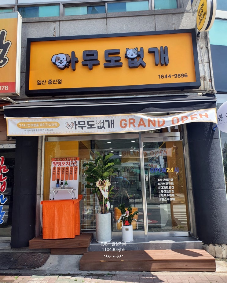  일산 아무도없개 24시 무인 애견용품 찐후기