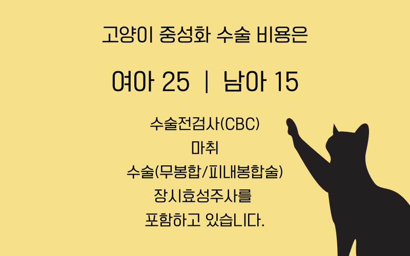 암컷 고양이 중성화 , 수술 비용과 준비물 feat 송파 라온펫동물병원 : 네이버 블로그 암컷 고양이 중성화 , 수술 비용과 준비물 Feat 송파 라온펫동물병원 : 네이버 블로그