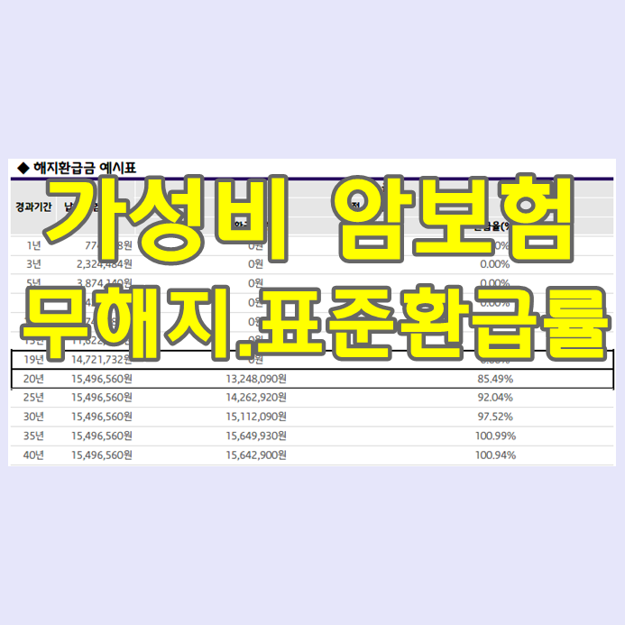  가성비 저렴한암보험 무해지 납입후 표준환금률지급형