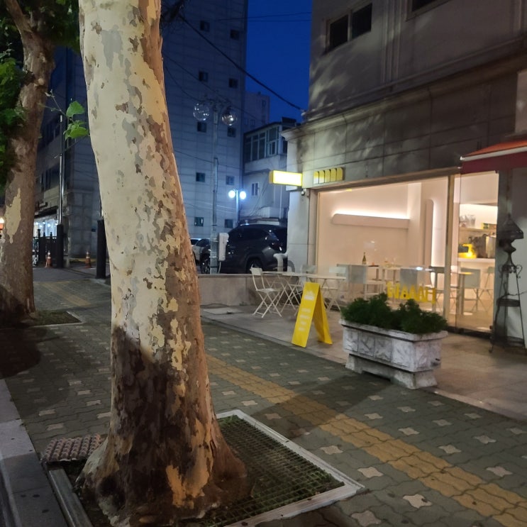 강동구 카페 커피가루 싱크대역류 및 싱크대막힘 증상 해결 가즈아~ 강동구 카페 커피가루 싱크대역류 및 싱크대막힘 증상 해결 가즈아~