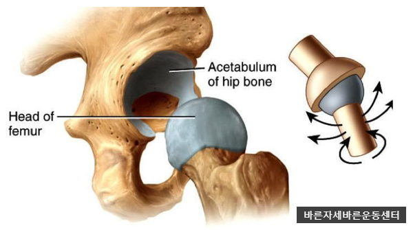 [서래마을PT]골반통증,고관절 찝힘(Hip impingement)