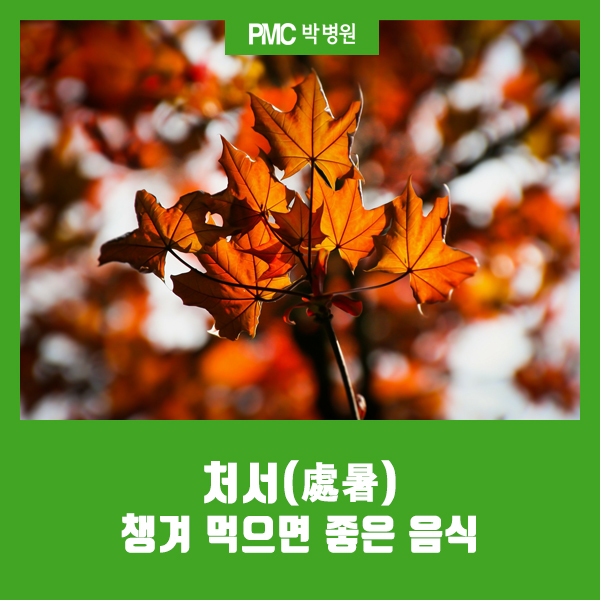  가을의 시작 처서(處暑), 챙겨 먹으면 좋은 음식 [평택 박병원 / PMC박병원]