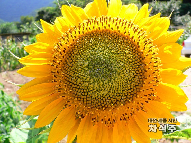  2005년 여름 강원도 여행 2