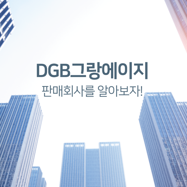  DGB그랑에이지를 판매하고 있는 보험회사는 어떤 회사인가?