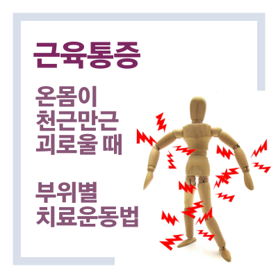  [건강정보] 근육통증_등허리 엉덩이골반 무릎발목 통증으로  온몸이 천근만근 괴로울 때