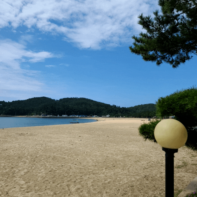  태안 펜션 연포해수욕장 펜션 블레스오션 완전 좋아요!