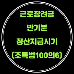  근로장려금 반기분 정산 시기 단축(조특법100의6･100의8)