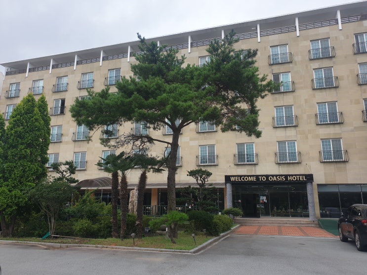  [거제] 연식있지만 너무 친절&깔끔했던 거제 오아스시 호텔과 또 먹고싶은 배말김밥 그리고 이가네 칼국수