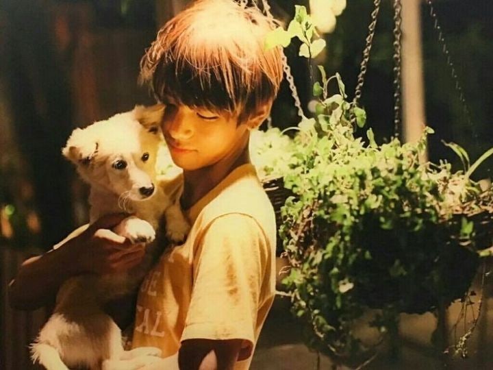 resized%EF%BC%BF39f75852de9cf53373018aee