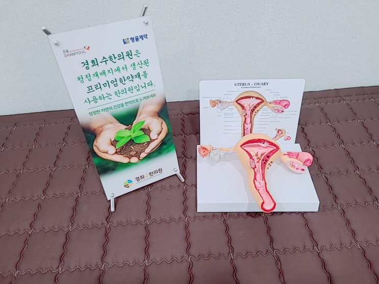  영통 산후보약, 한의원에서 오로부진 배출 치료받으세요