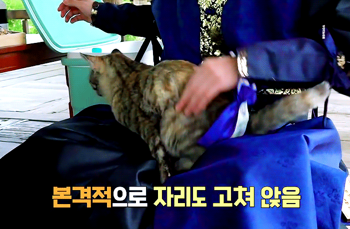 51369668888%EF%BC%BFaa8d31dbf3%EF%BC%BFo