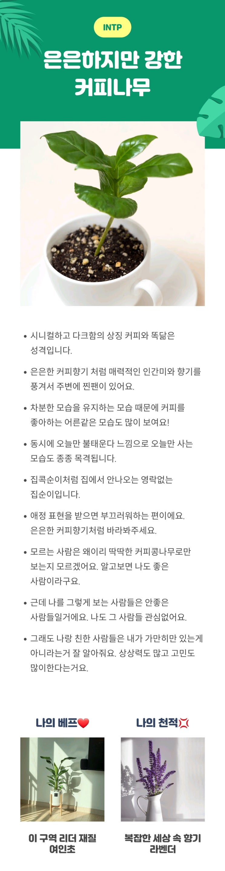  식물 MBTI 테스트하기 ㅋㅋㅋ
