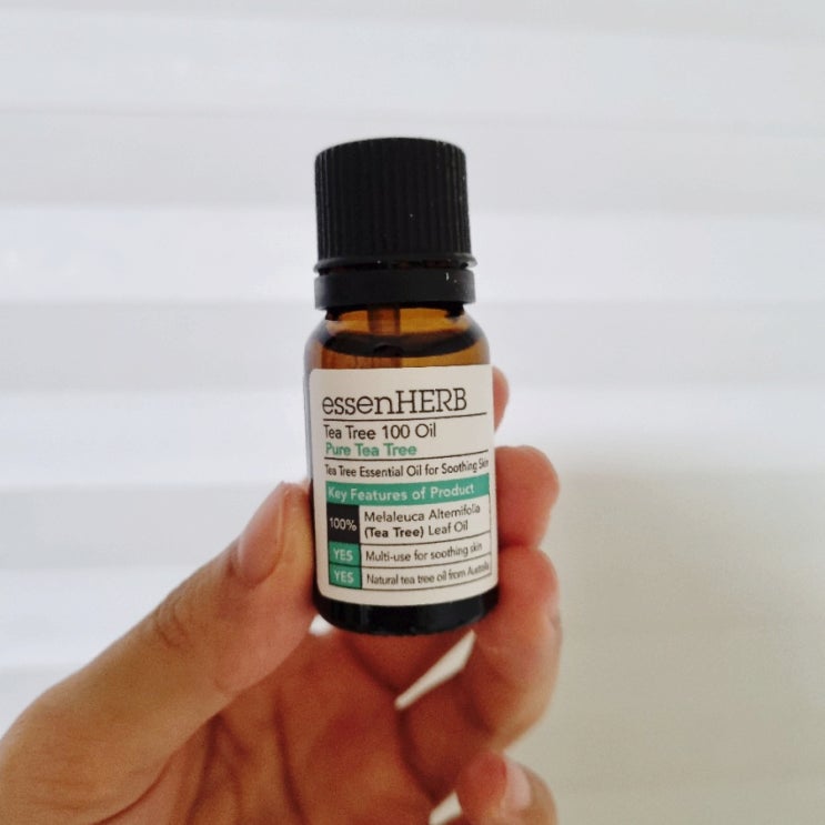  뾰루지 스팟 케어해주는 essenHERB 에센허브 티트리 100 오일 리뷰