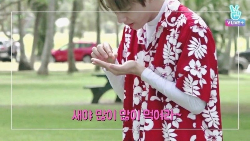 0170810220806.jpg?type=w800