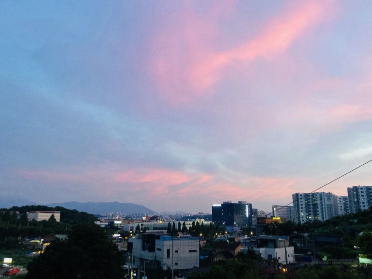 대구 동구 봉무공원 단산지 산책로 대구 동구 봉무공원 단산지 산책로