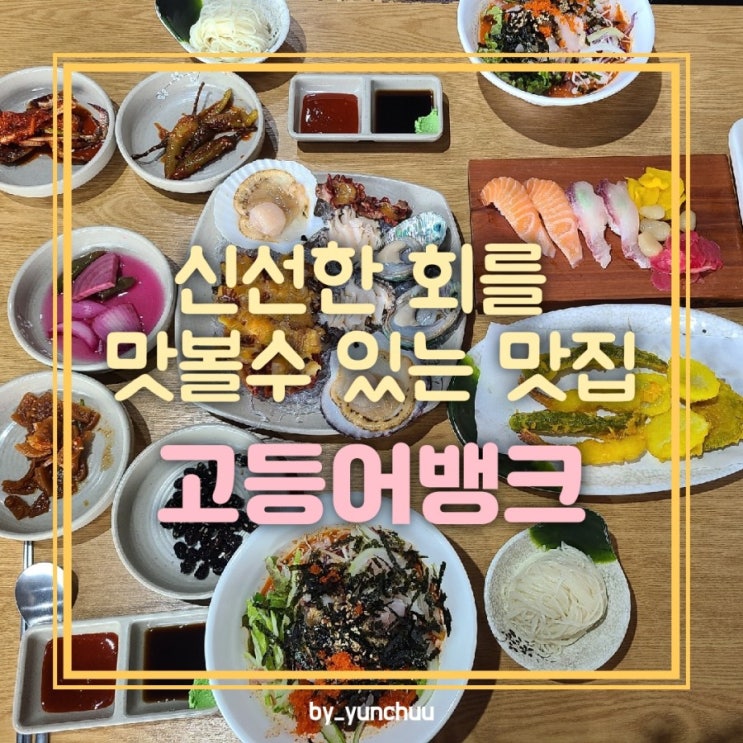  [경기광주] 바로잡은 싱싱한 회를 맛볼 수 있는 곳 고등어 뱅크 / 싱싱한 회 맛집
