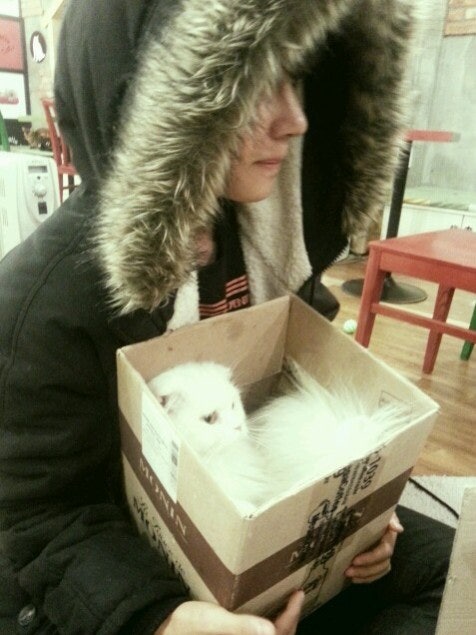 %EB%8B%A4%EC%9A%B4%EB%A1%9C%EB%93%9C%ED%