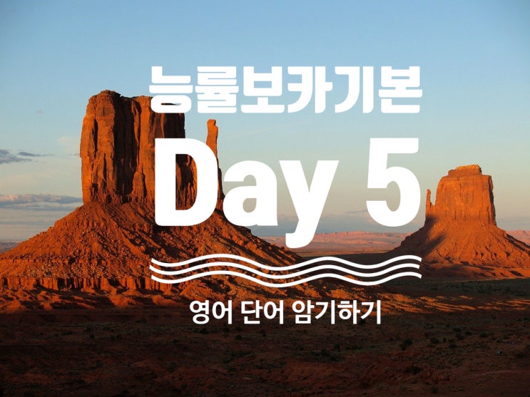  영어단어를 자꾸 잊어버리는 이유?[Day5] 능률 보카 기본으로 영어 단어 암기하기. [1/4/7/14] 반복 주기로 영어 단어와 친해지기. 주니어 능률 보카 기본편.