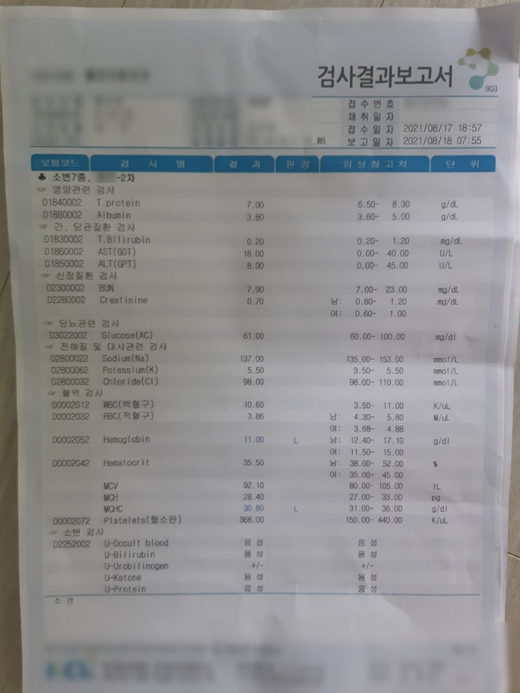  치질수술 통증 16일차 병원 선택 실패 후기 물설사 좌욕
