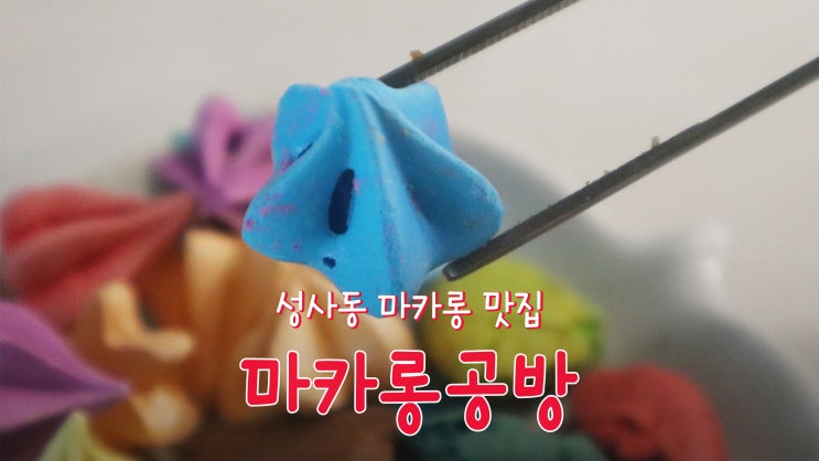 [성사동 마카롱 맛집/원당역 디저트 카페] '마카롱 공방'