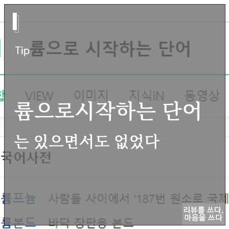 끝말잇기시 륨으로 시작하는 단어?는 있으면서도 없었다