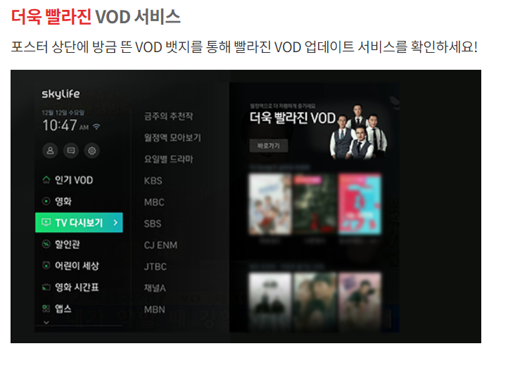 스카이라이프 인터넷 VOD 다시보기 가능