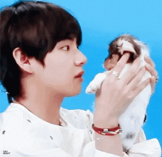 9c9fa624b0d5c51589a07a7d8cd2ca92.gif?typ