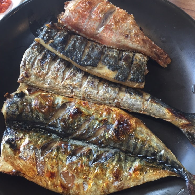  [문닫음 ㅜ] 다시 오고 싶은 생선구이 맛집 문지동 등푸른 생선구이 청국장