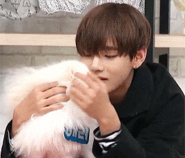 9ffe508b566abe1167d8c78bb2fdebe8.gif?typ