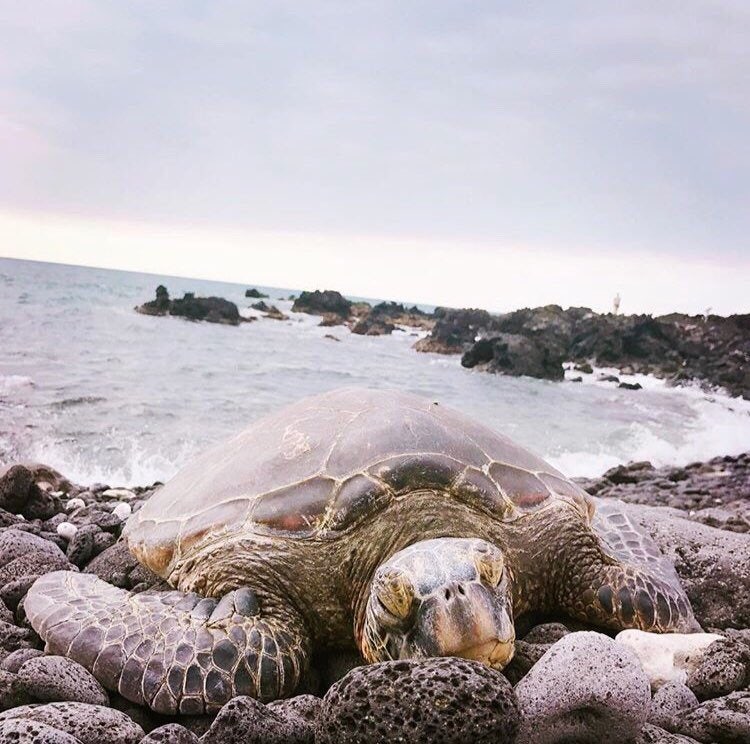 20210819%EF%BC%BF120859.jpg?type=w800