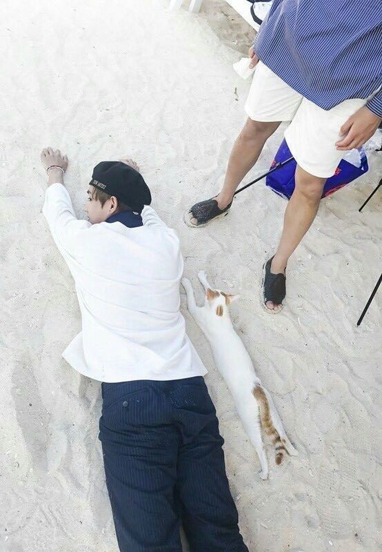 15bdb34a285c34bc9c9ca8e898f6731d.jpg?typ