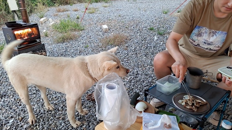 내인생 첫 화목난로 우드앤번 마이스토브미니 첫 개시