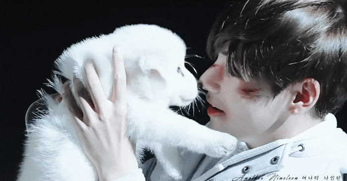 1629346002414%EF%BC%8D0.gif?type=w800