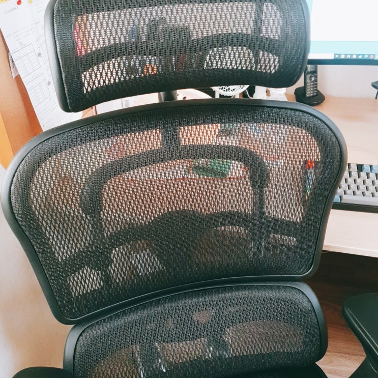  나, 의자, 쇼핑, 성공적. 에르고휴먼 V2 의자
