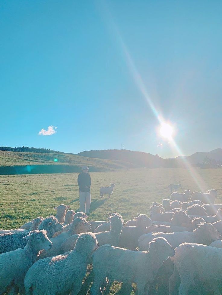 f4907bbeaea83d7845992ea135b9b429.jpg?typ