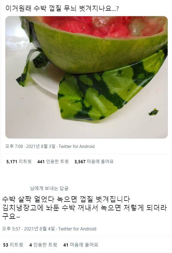  우리들의 몰랐던 무늬의 비밀