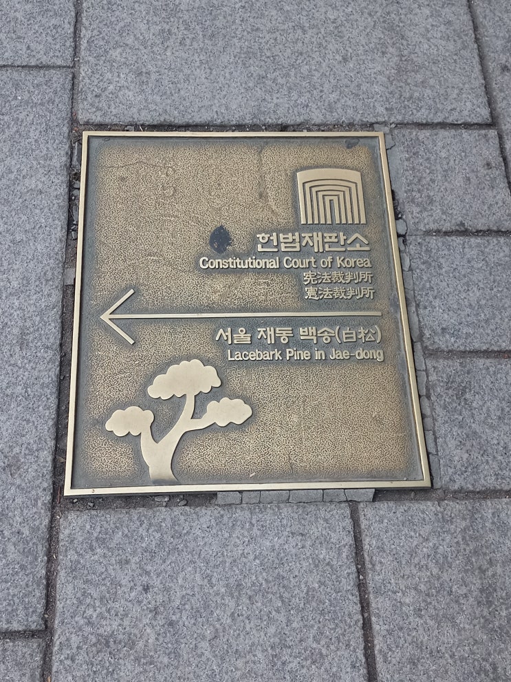  미국국적자 비거주자 해외 상속재산, 주택 달러 예금 증여세 양도소득세 등 과다 부과처분취소 행정법변호사