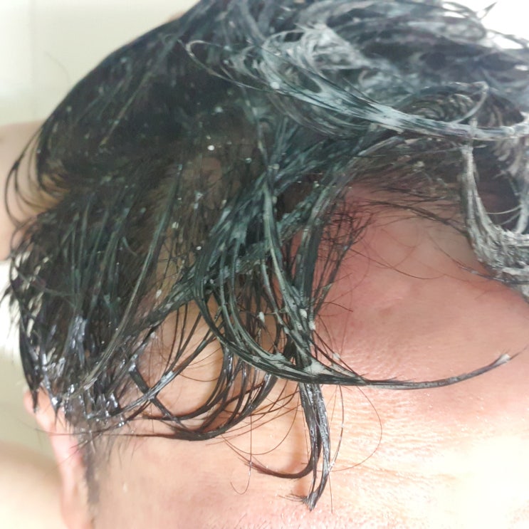  두피 각질, 기름진 정수리 냄새 모두 잡는 리얼솔트 두피스케일러추천 히말라야핑크솔트 함유 노폐물제거 미용 리뷰
