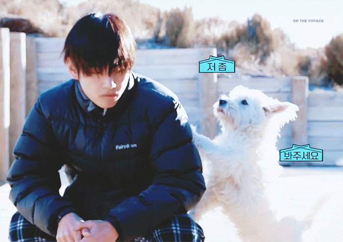 %EB%8B%A4%EC%9A%B4%EB%A1%9C%EB%93%9C%ED%