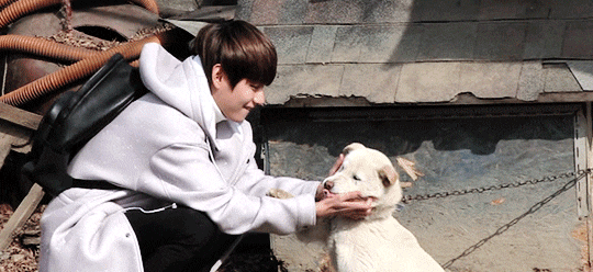 2ff23c315370896c39e4cd6683ea6c96.gif?typ