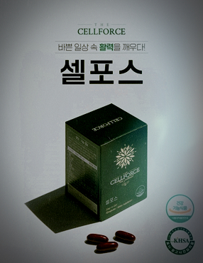 바쁜 현대인들을 위한 건강기능식품 추천 셀포스