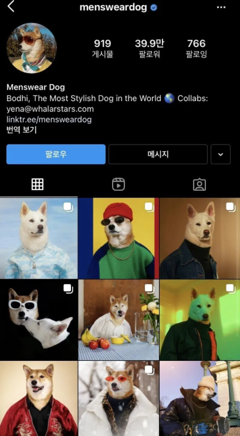  연봉 2억 패션 모델의 정체
