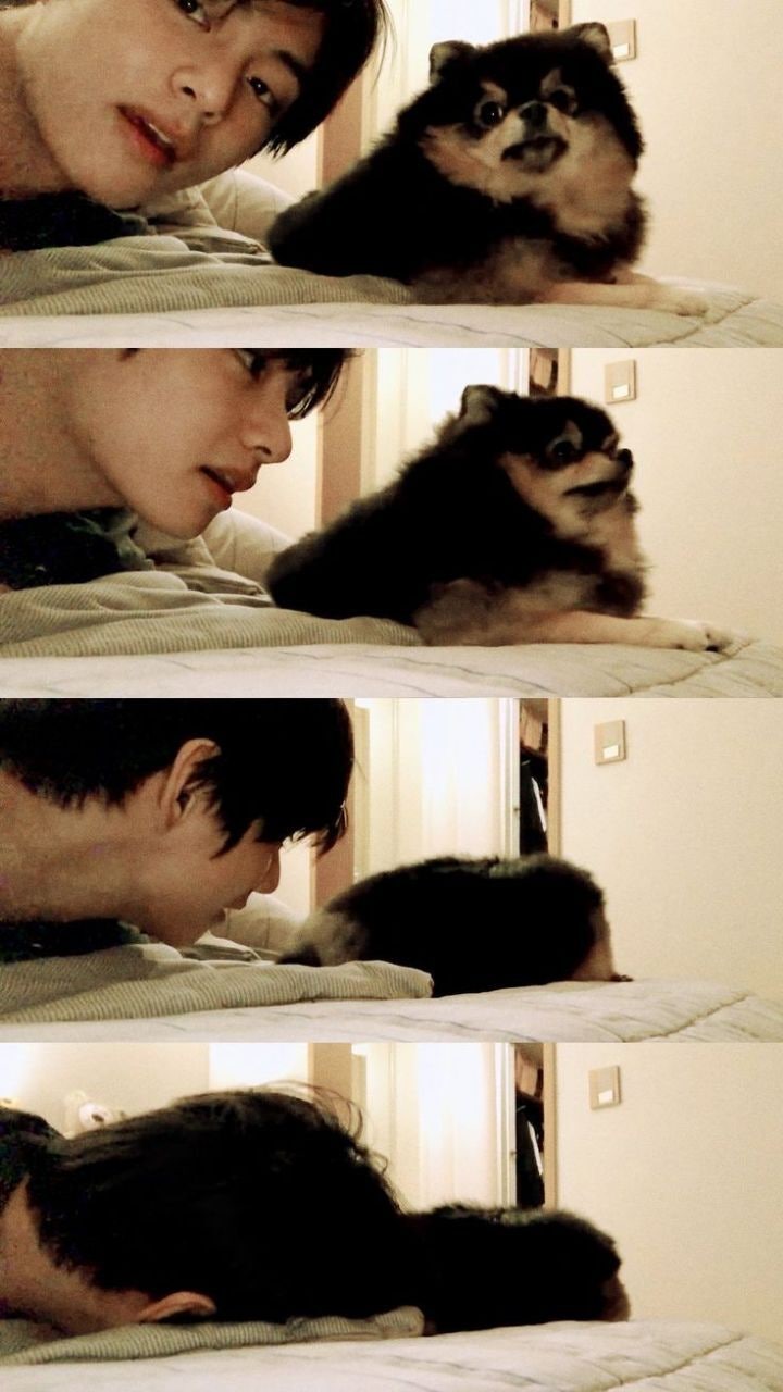 resized%EF%BC%BFc83486e9d863f017ec27ff33